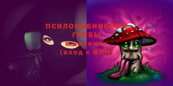 гашик Белокуриха